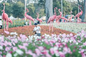 BIB: 
                            <button type="button" onclick="openModal(27344047)" class="btn btn-primary btn-sm float-right btn-popup" data-toggle="modal" data-target=".modal-high-quality">
                        <i class="fas fa-shopping-cart"></i> Add to Cart
                    </button>
                                            <button type="button" onclick="isThisMe(27344047, true)" class="btn btn-success btn-sm float-right btn-popup btn-isme hidden" data-toggle="tooltip" data-placement="bottom" title="นี่คือรูปของคุณใช่ไหม คลิกที่นี่เพื่อเอาเข้าอัลบั้ม">
                        <i class="fas fa-plus"></i> Add to album
                    </button>
                    <button type="button" onclick="isThisMe(27344047, false)" class="btn btn-warning btn-sm float-right btn-popup btn-isnotme hidden">
                        <i class="fas fa-ban"></i> Remove from album
                    </button>